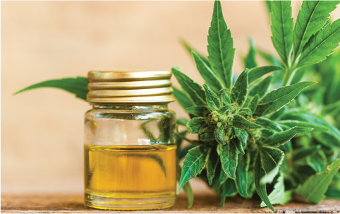 Cannabis (CBD Oils) - treatment trend